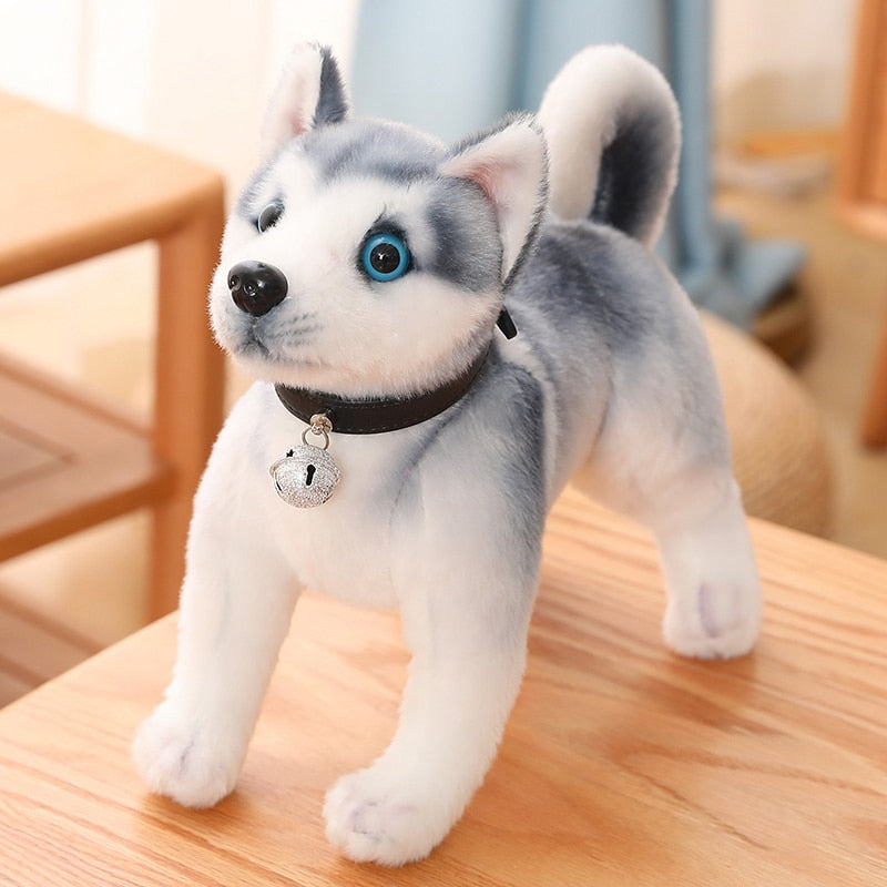 Eisblaue Augen - Husky Plüschtier