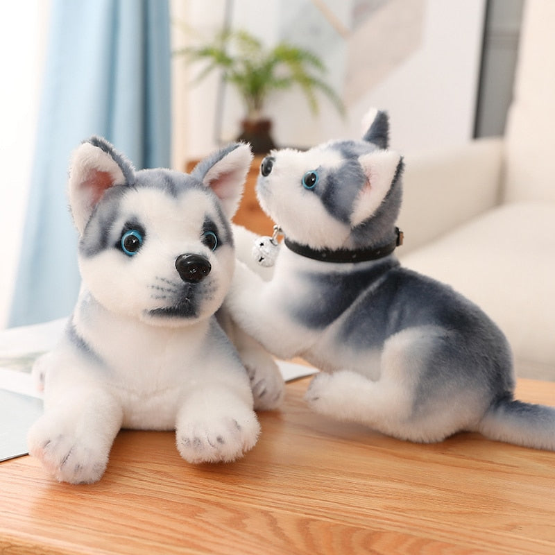 Eisblaue Augen - Husky Plüschtier