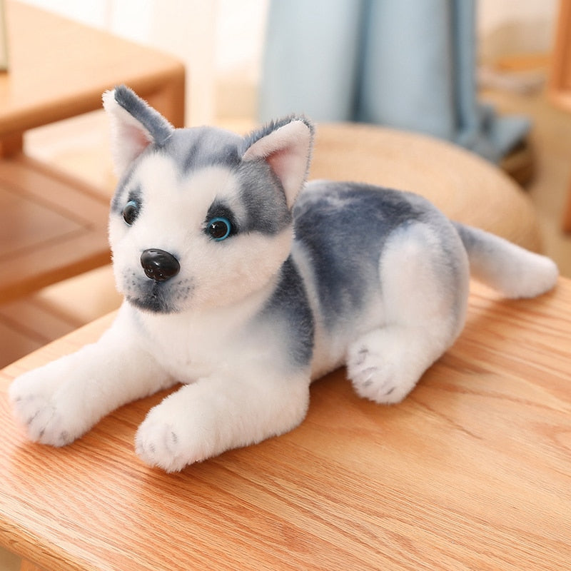Eisblaue Augen - Husky Plüschtier
