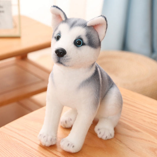 Eisblaue Augen - Husky Plüschtier