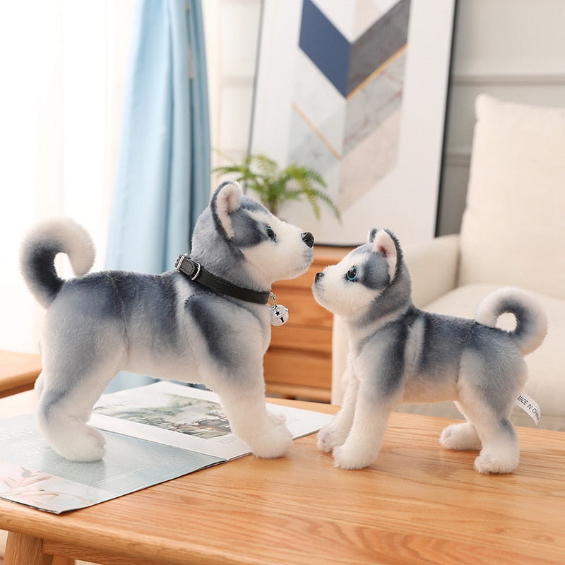 Eisblaue Augen - Husky Plüschtier
