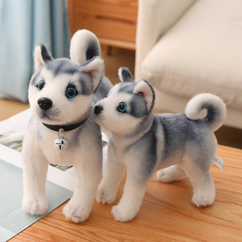 Eisblaue Augen - Husky Plüschtier