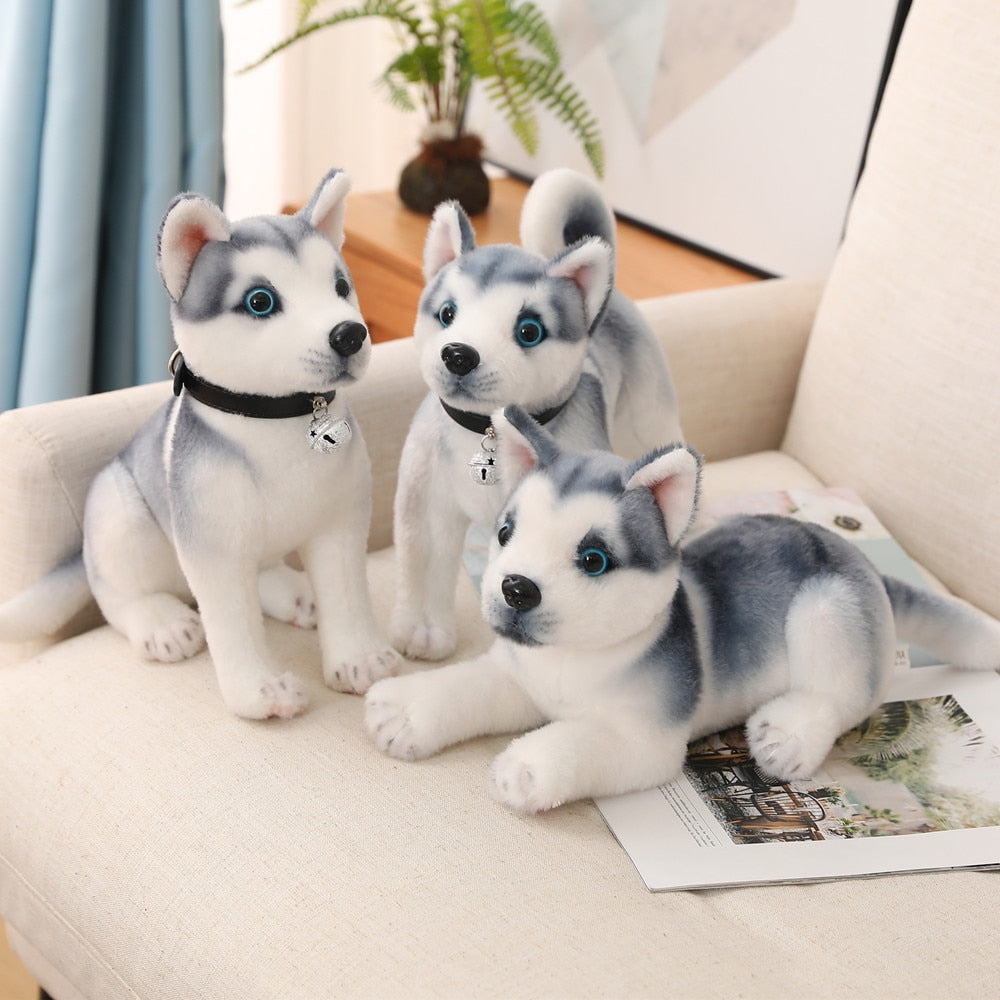 Eisblaue Augen - Husky Plüschtier
