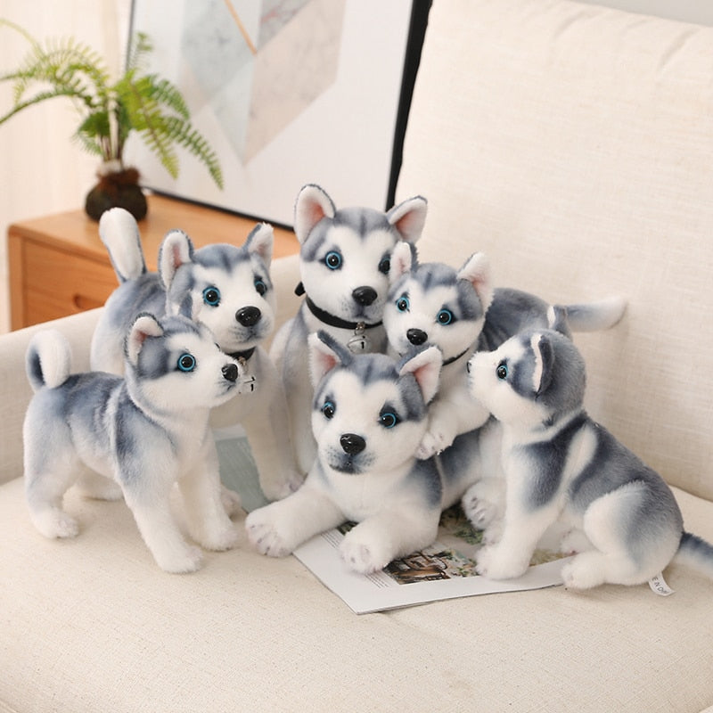 Eisblaue Augen - Husky Plüschtier