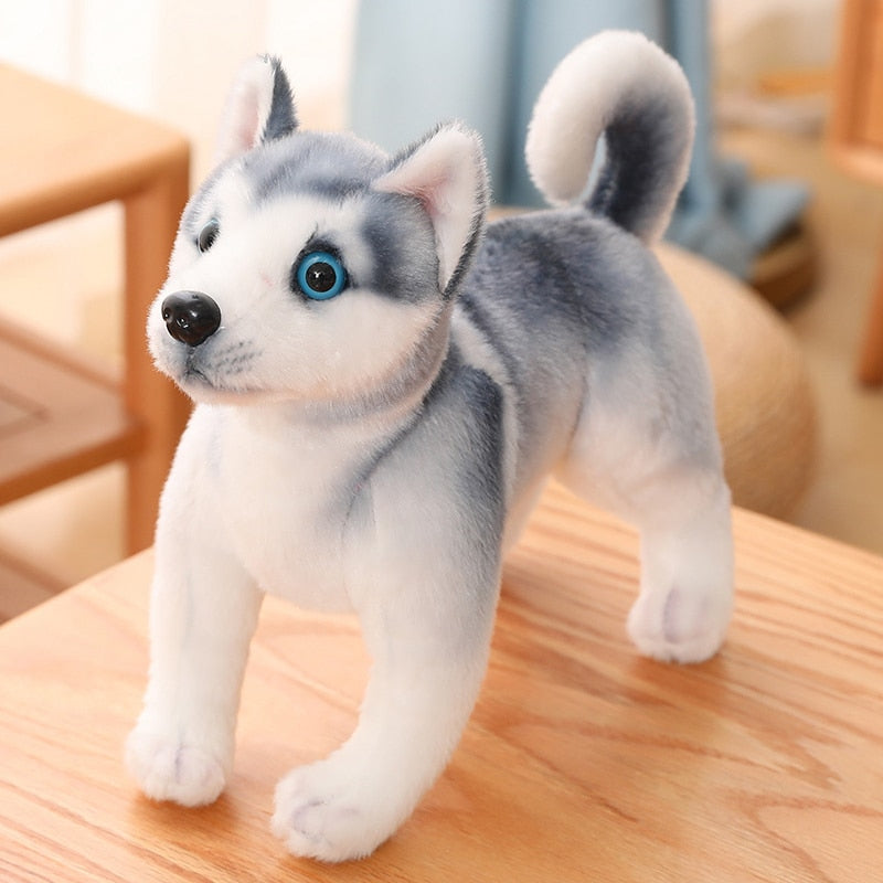 image of an adorable husky stuffed animal plush toy