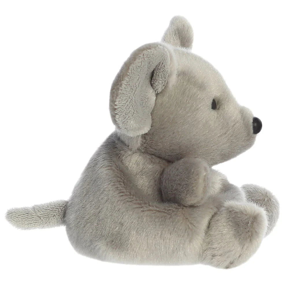 Plappermaus - der Kuschelkoala