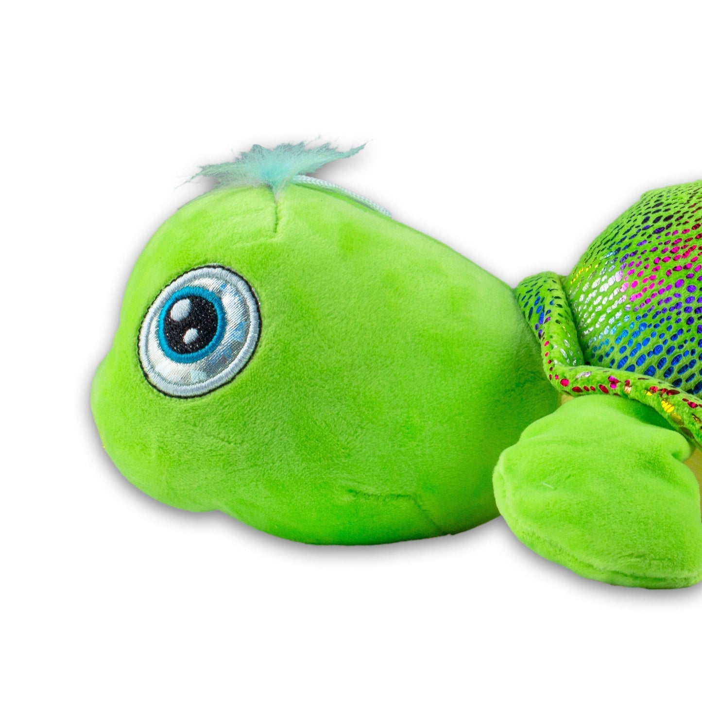 Grüne Schildkröte - Farbenprächtiger Kuschelfreund