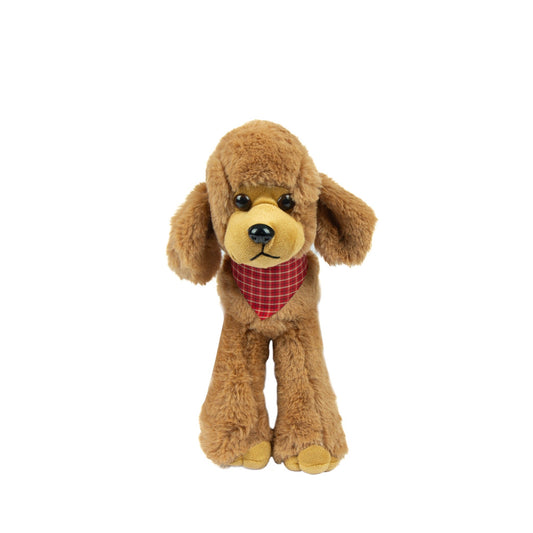 Lustiger Brauner Pudel