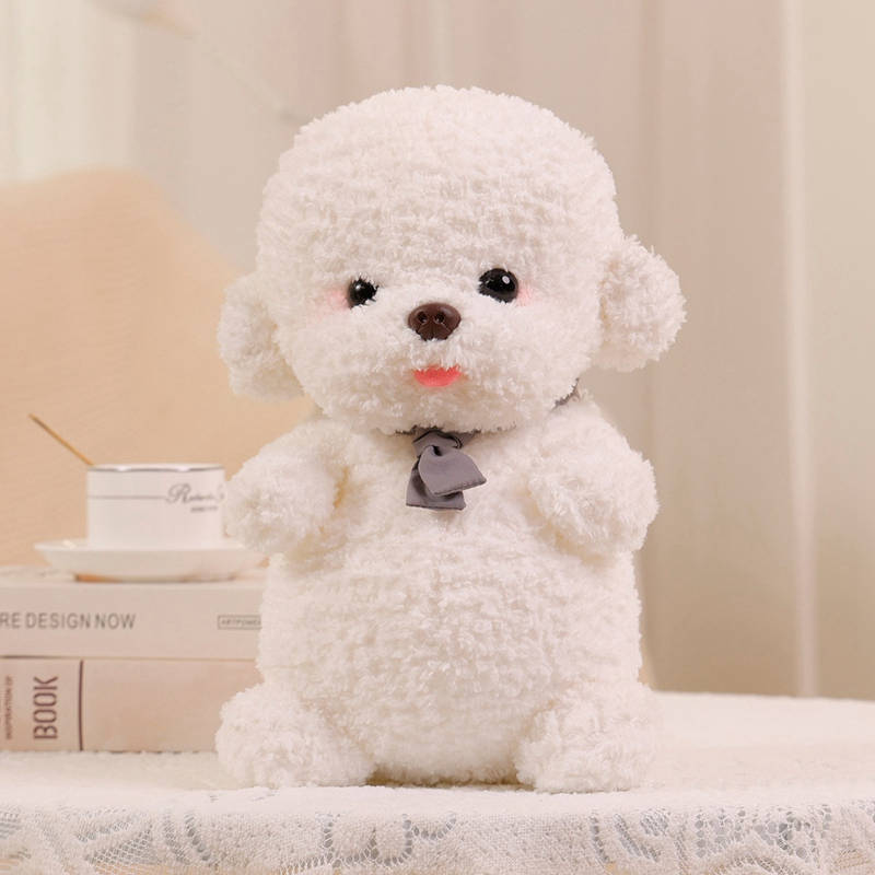 Flauschiger Bichon Frise
