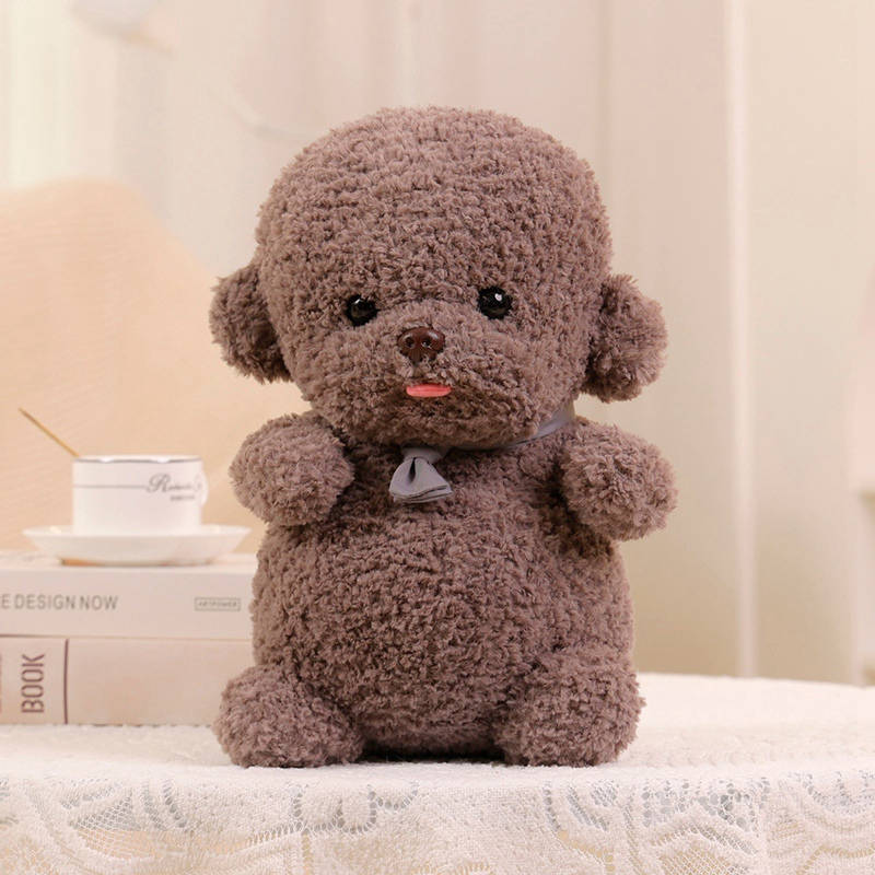 Flauschiger Bichon Frise