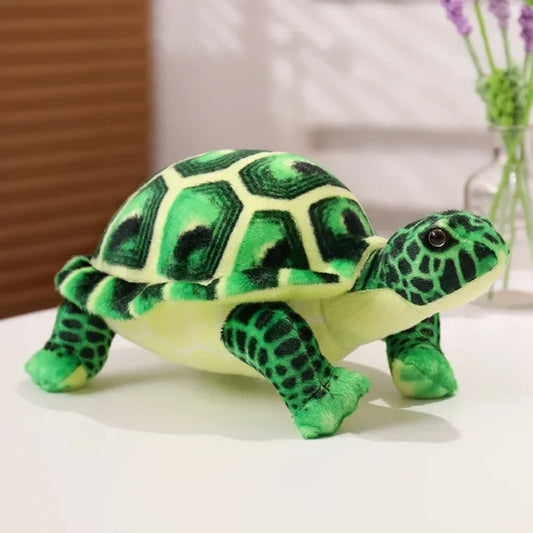 Plüsch-Schildkröte Sanfter Freund