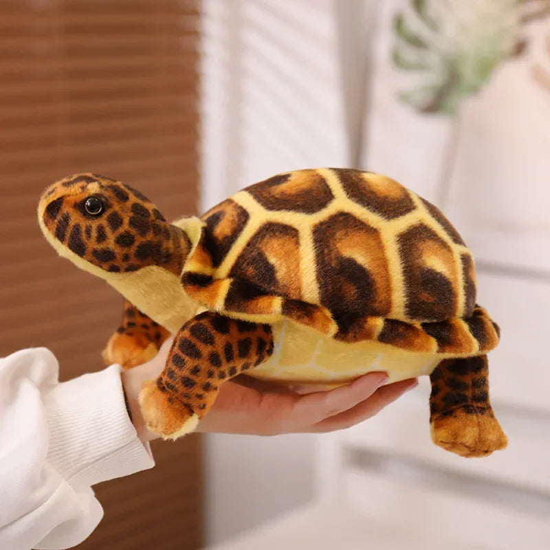 Plüsch-Schildkröte Sanfter Freund