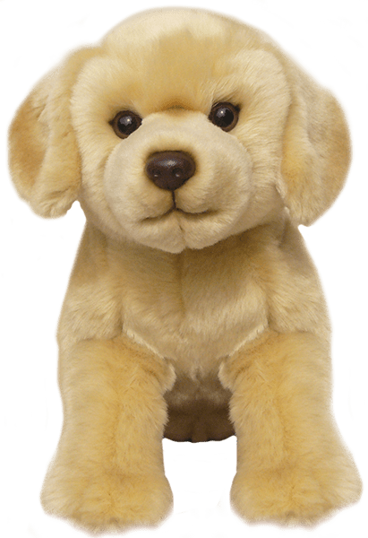 Labrador Kuschelfreund