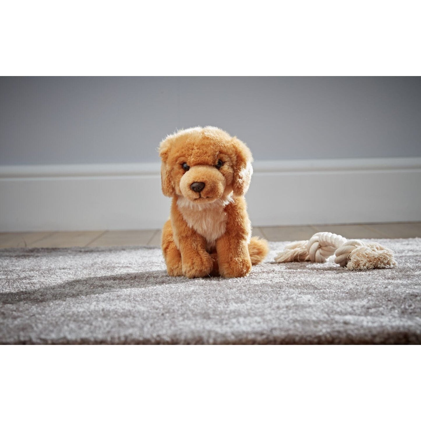 Freundlicher Retriever Welpe