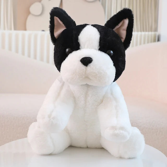Freundlicher Kuschelwelpe