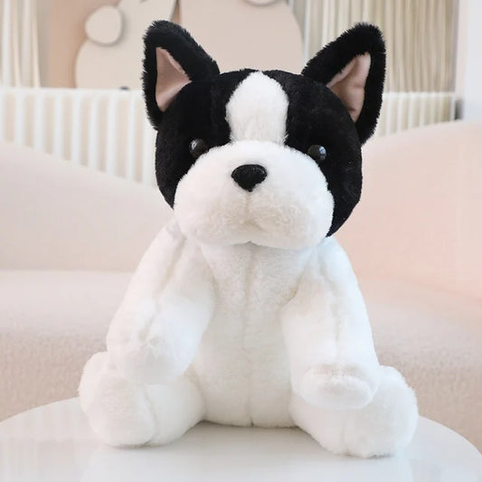 Freundlicher Kuschelwelpe