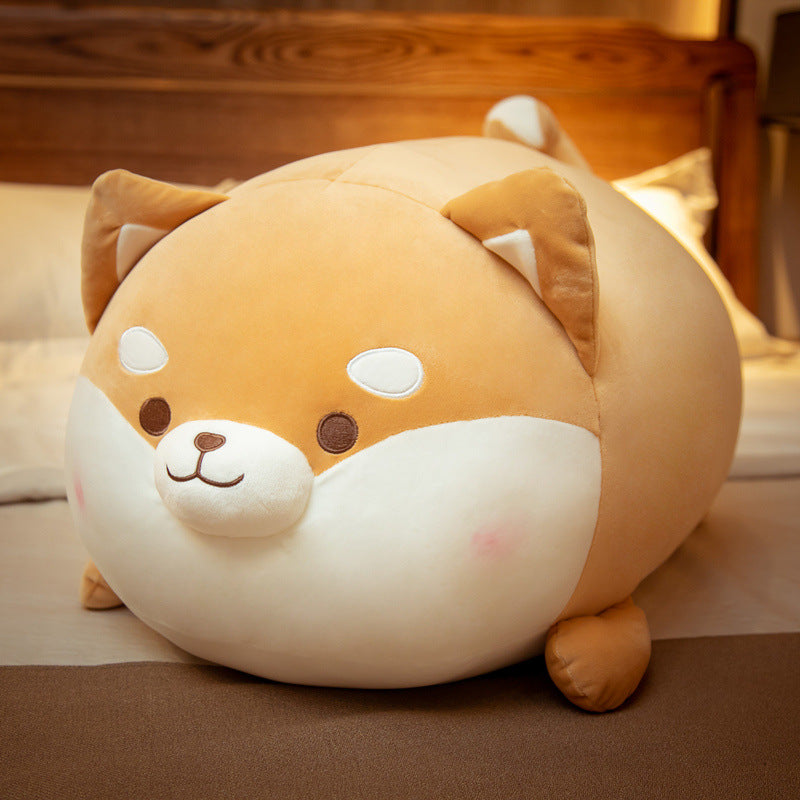 Kuschel-Corgi: Runde Freude