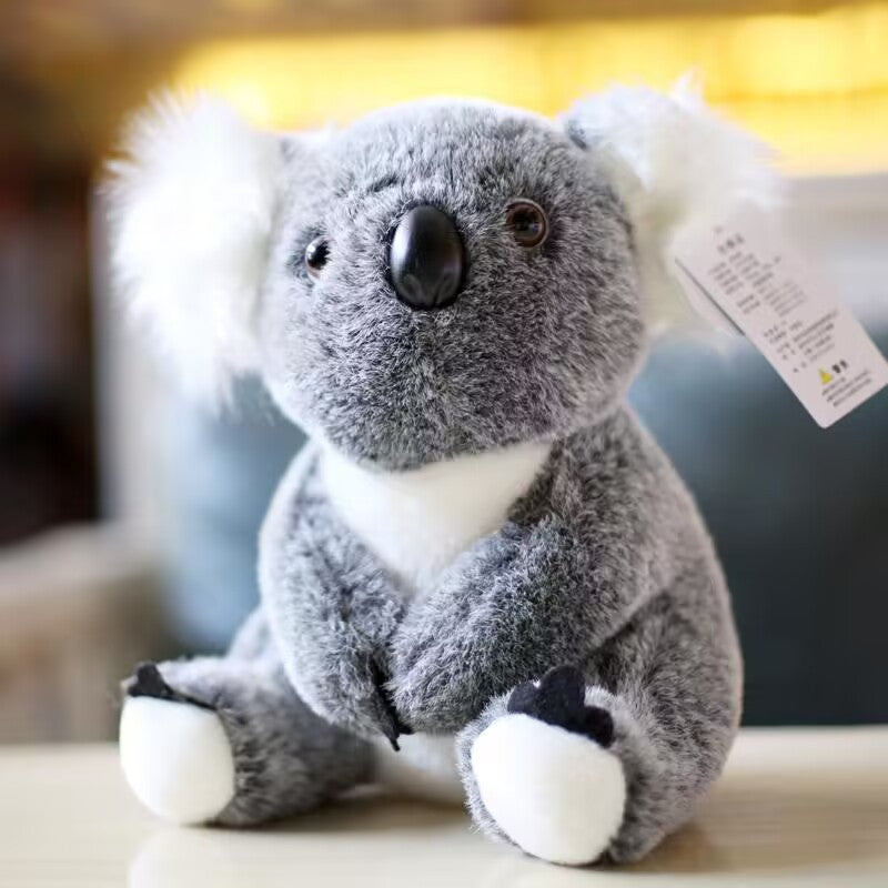 Grauer Kuschel-Koala