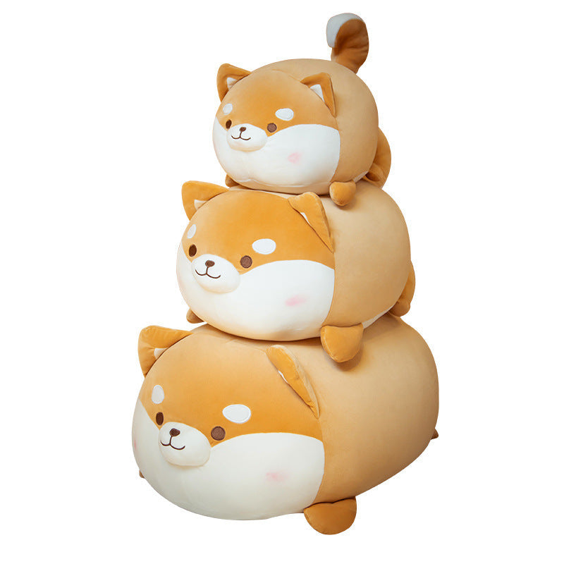 Kuschel-Corgi: Runde Freude