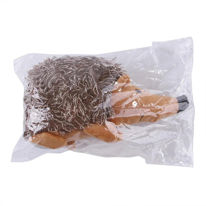 Stachel-Spielfreude Igel