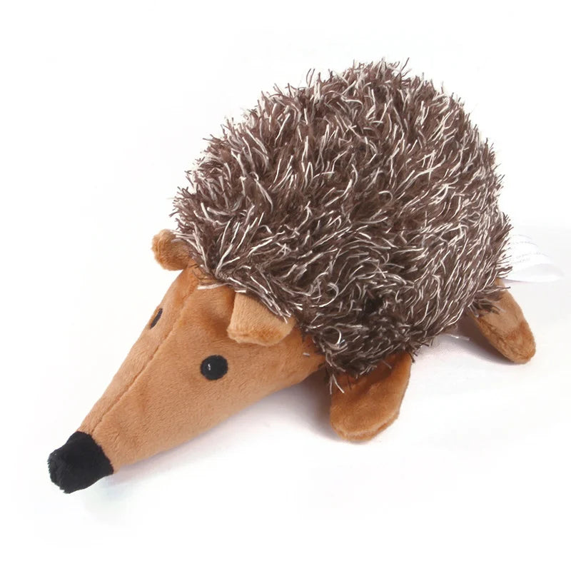 Stachel-Spielfreude Igel