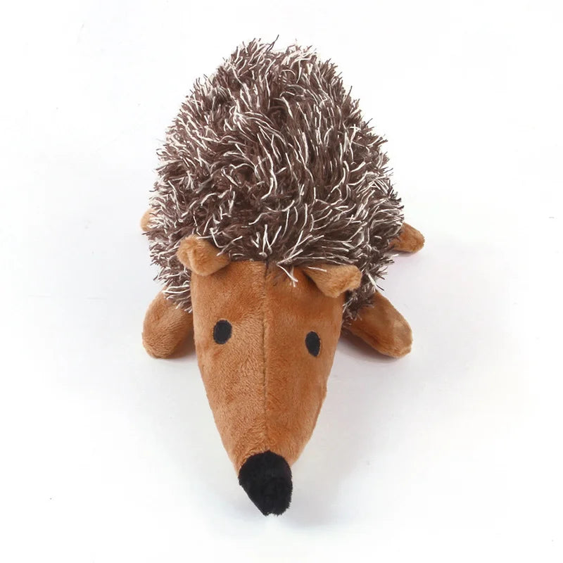 Stachel-Spielfreude Igel