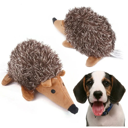 Stachel-Spielfreude Igel