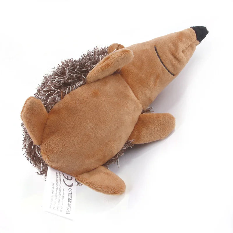 Stachel-Spielfreude Igel