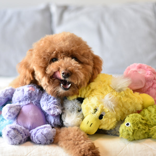 Gelbes Schnabeltier Kuscheltier