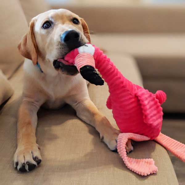 Flauschiger Spielspaß Flamingo