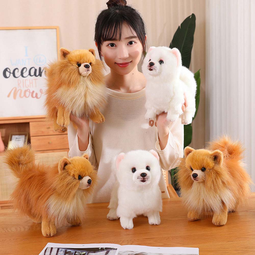 Buddy - Realistischer Pomeranian Plüsch