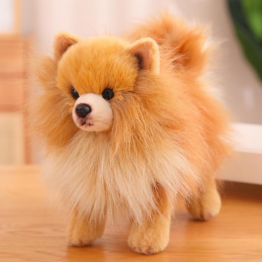 Buddy - Realistischer Pomeranian Plüsch