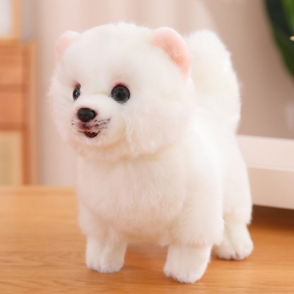 Buddy - Realistischer Pomeranian Plüsch