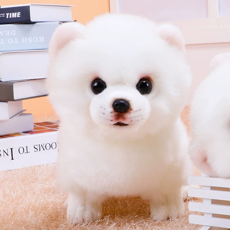 Buddy - Realistischer Pomeranian Plüsch