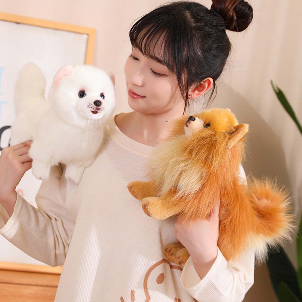 Buddy - Realistischer Pomeranian Plüsch