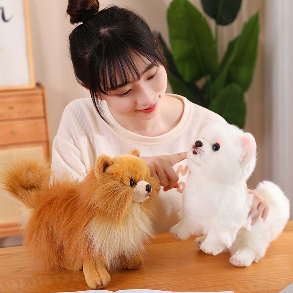 Buddy - Realistischer Pomeranian Plüsch