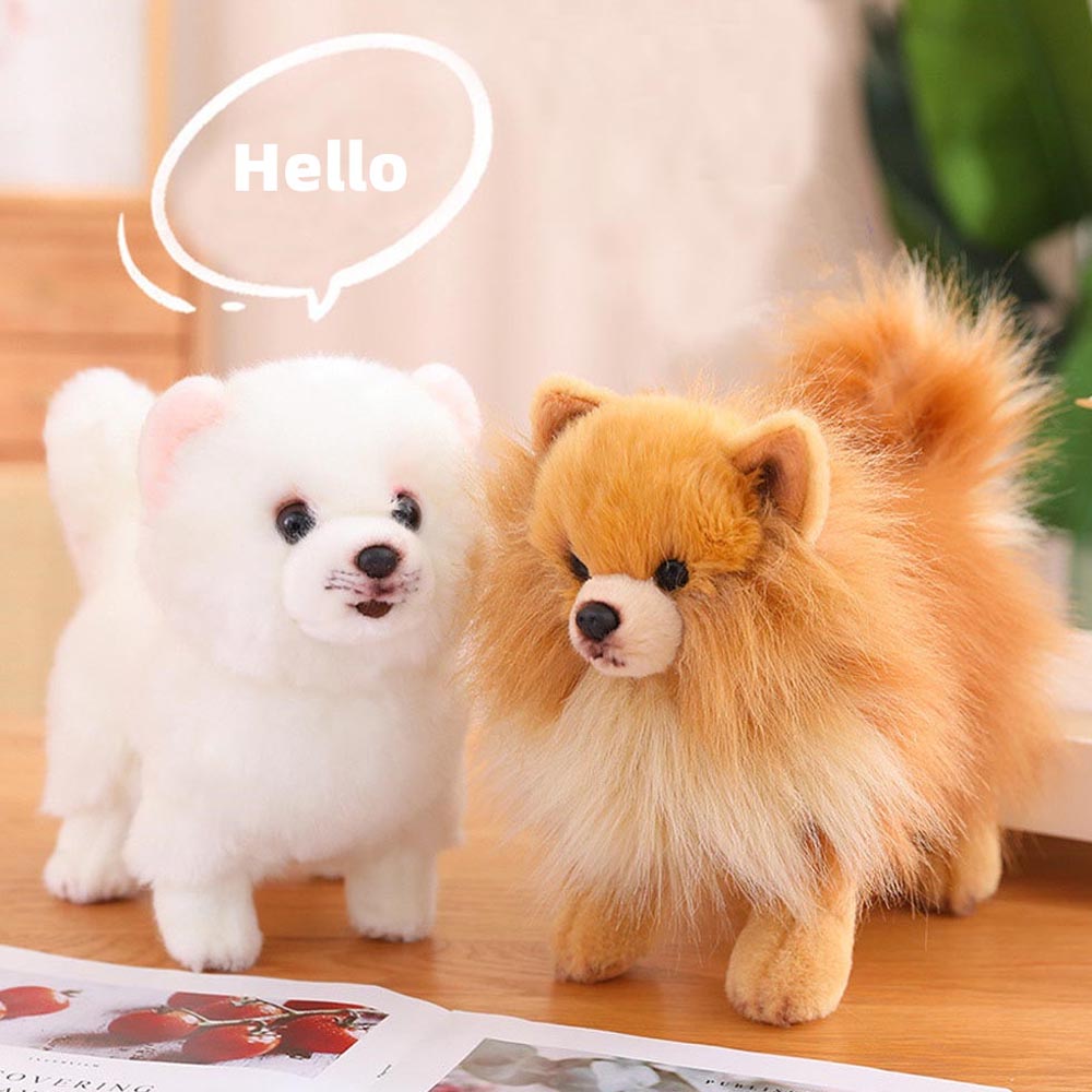 Buddy - Realistischer Pomeranian Plüsch