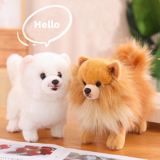 Buddy - Realistischer Pomeranian Plüsch