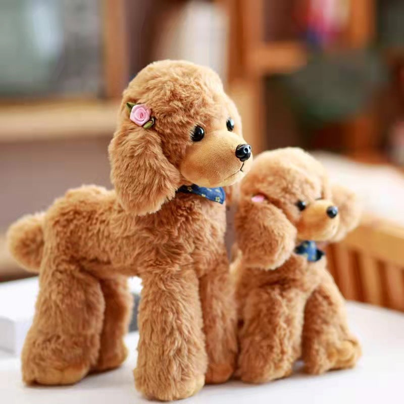 Kuschel-Pudelhund in Tan