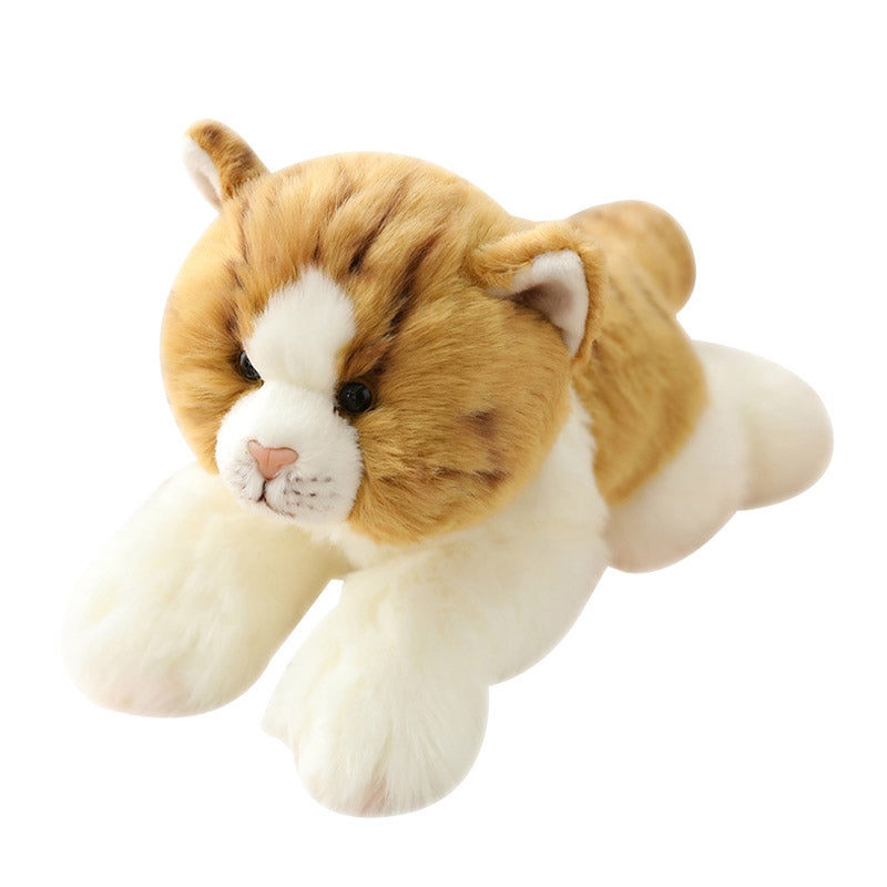 Realistische niedliche orangefarbene Katze