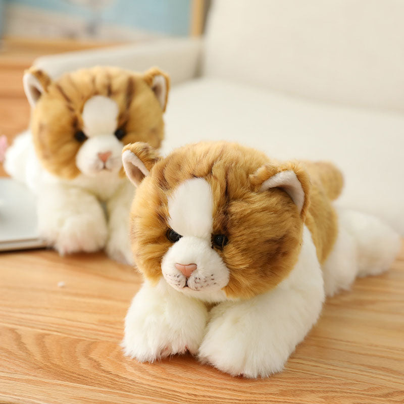 Realistische niedliche orangefarbene Katze
