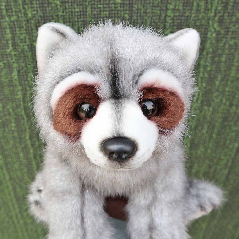 Realistischer Waschbär Plüsch