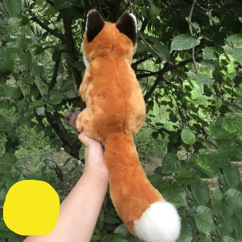 Fuchswelpe - Treuer Kuschelfreund