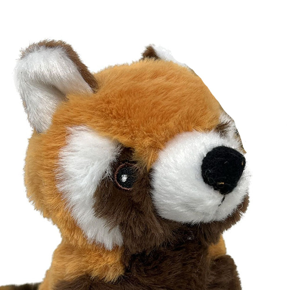 Rotpanda Kuschelgefährte