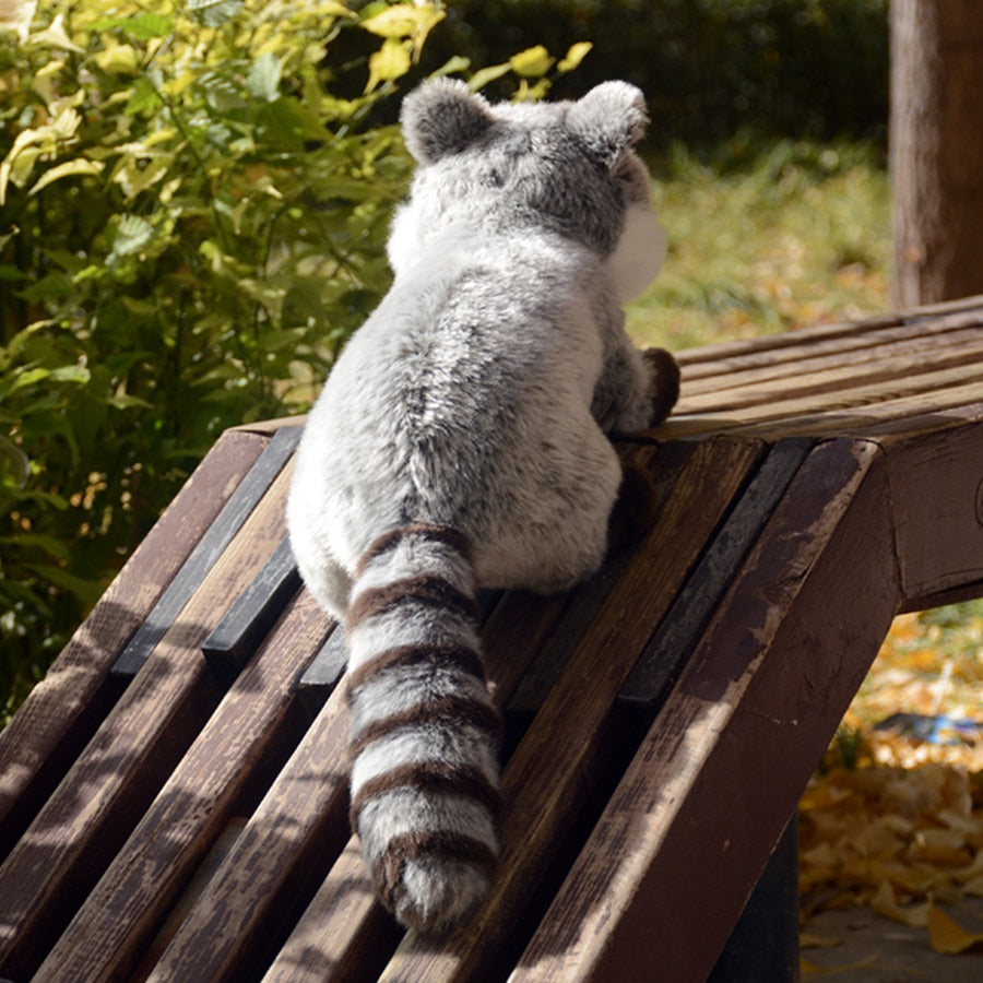 Niedlicher grauer Waschbär-Plüsch