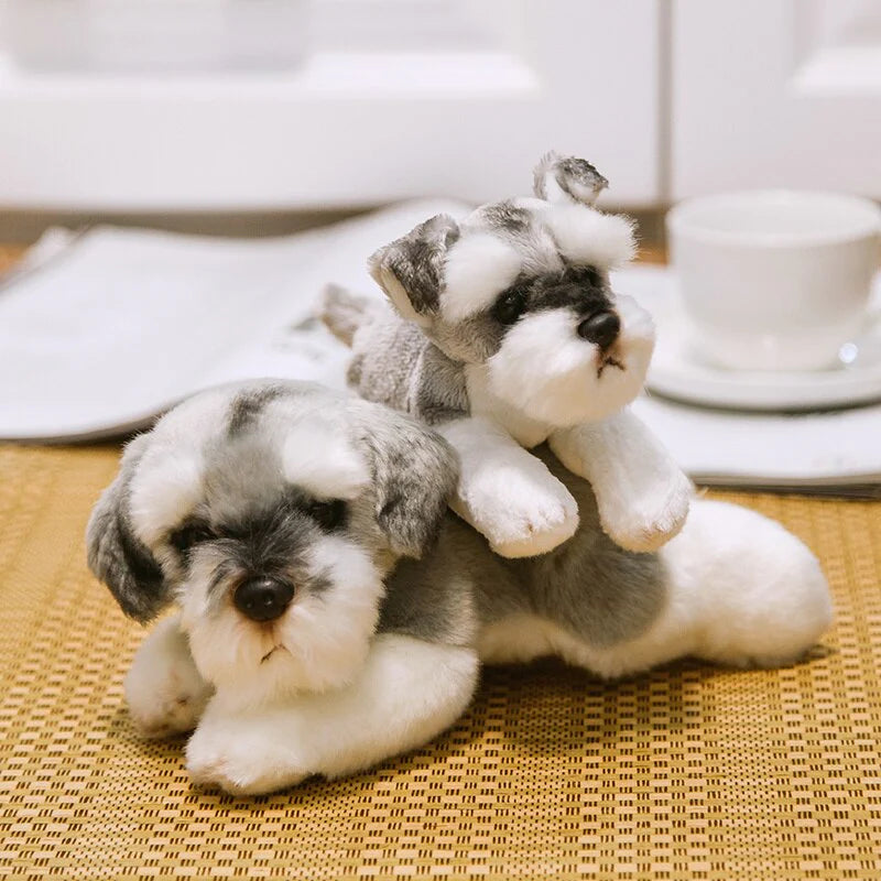 Schnauzer - Treuer Plüschfreund