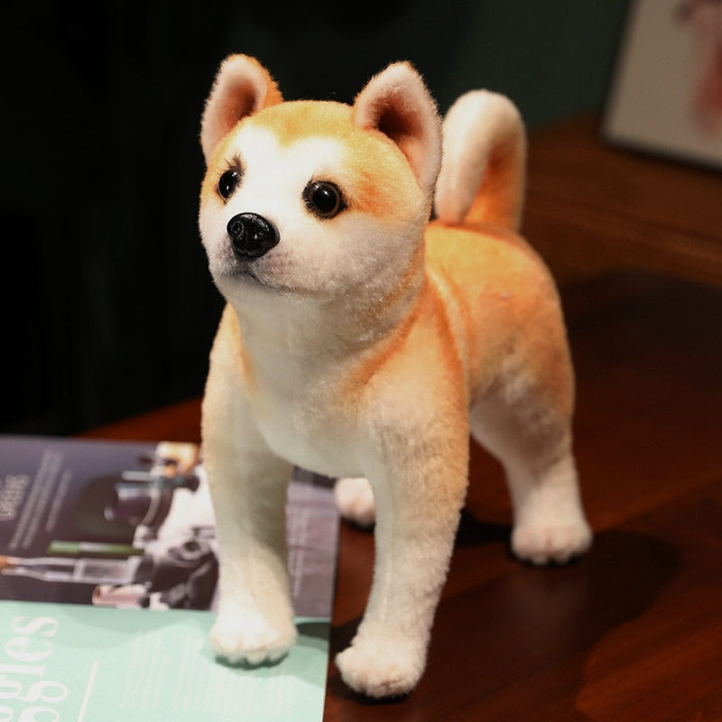 image of a two shiba inu stuffed animal plush toys