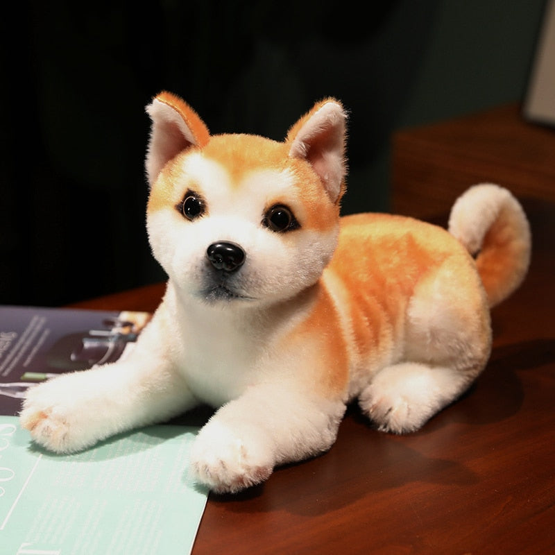 image of a collection of shiba inu stuffed animal plush toys