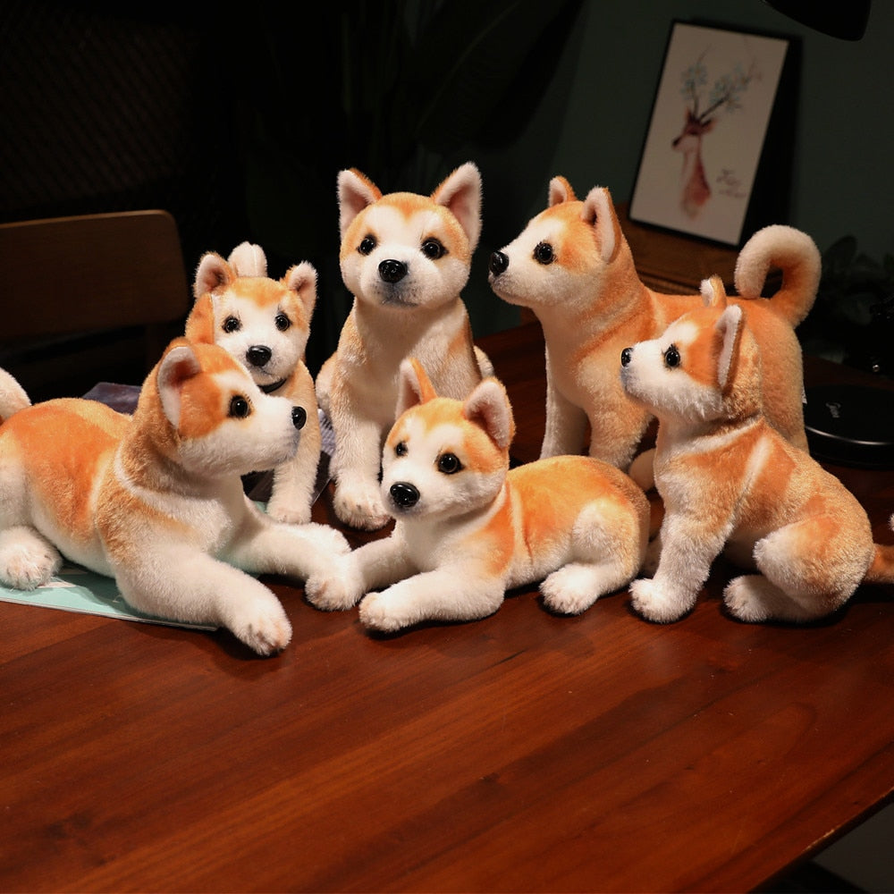 Treuer Shiba - Plüschbegleiter