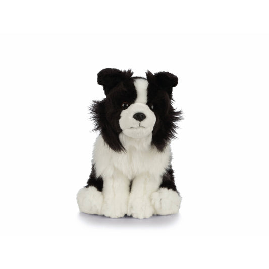 Treuer Collie Kuschelfreund